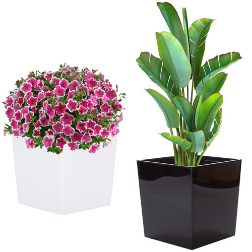 Blumenkübel eckig hochglanz - blumenkübel,