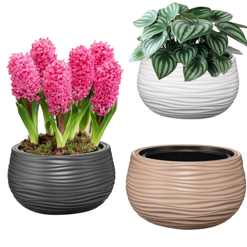 Blumentopf rund schale mit - blumentopf,