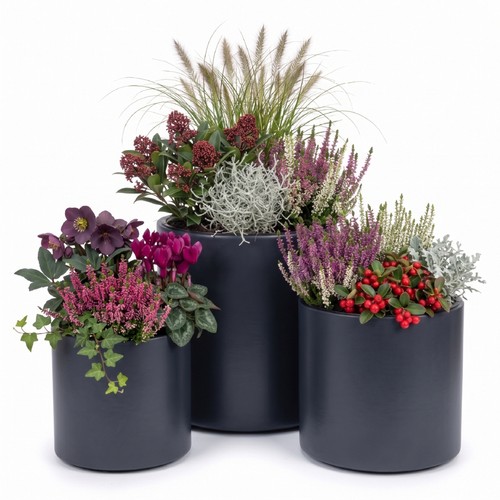 Blumentopf blumenkübel mit - blumentopf,