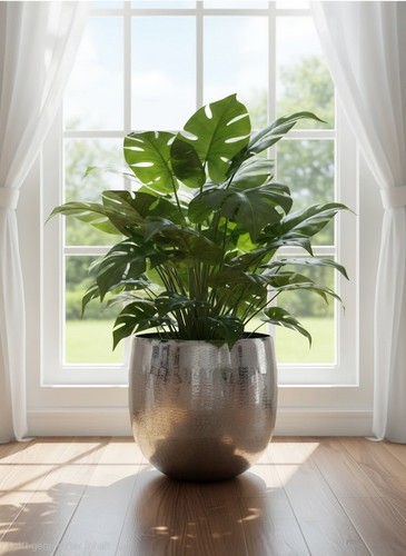 übertopf blumentopf alu groß - Übertopf,