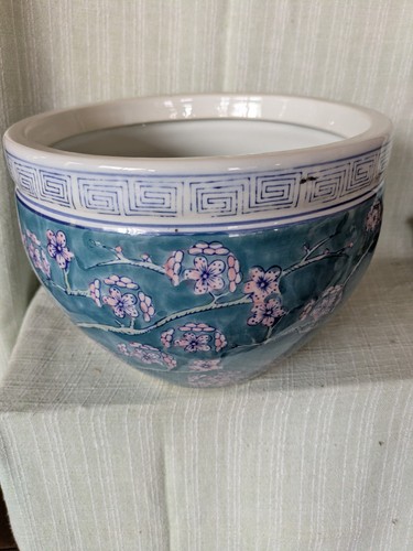 Schöner chinesischer asia - chinesischer,