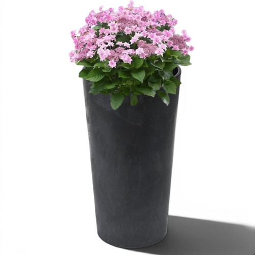 Blumentopf xxl groß rund - xxl,